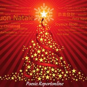 Programma Eventi -Natale Insieme-