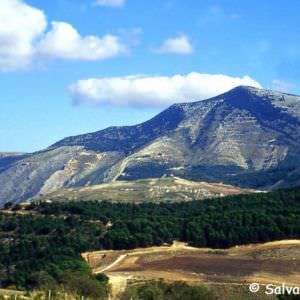 Monte Inici