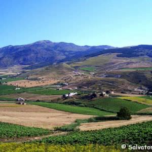 Monte Inici